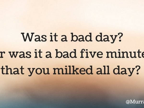 No dogs were harmed in the writing of this&nbsp;post!