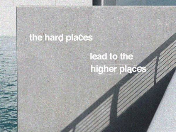 Who let the dogs&nbsp;out?